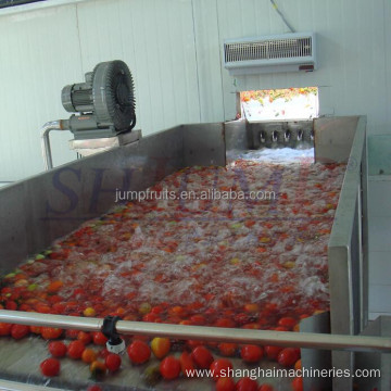 Industrial fruit and vegetable washing and drying machine